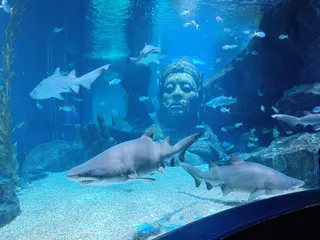 SEA LIFE Bangkok Ocean World