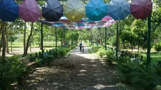 Temático Bosque Macuto Park