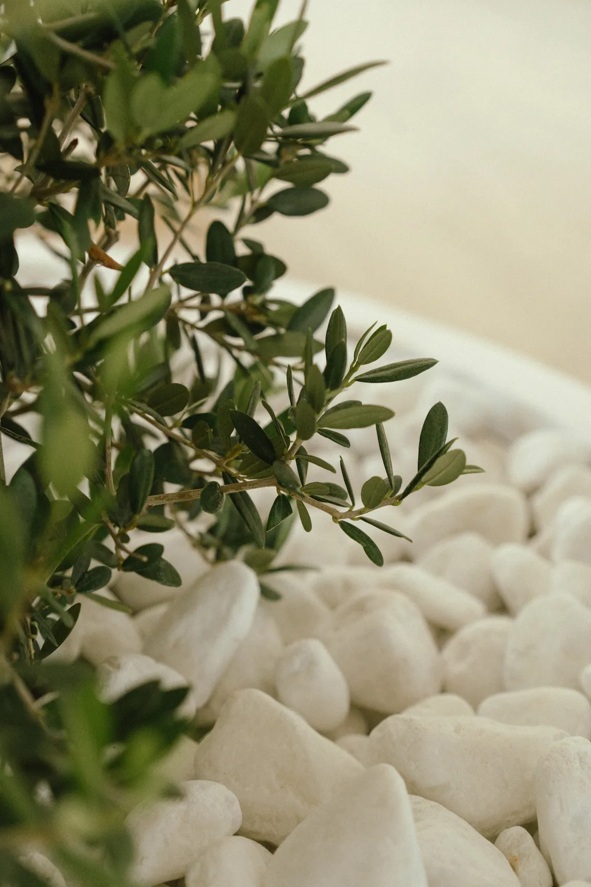 Planet Terra - Ibis World Trade Centre Dubai