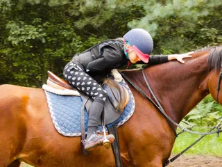 "PASJA" Stadnina koni hodowla .Nauka jazdy konnej stajnia.