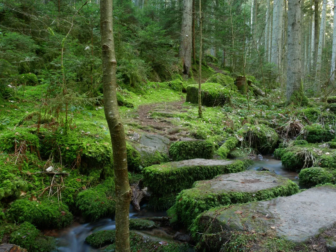 Rötelbachtal