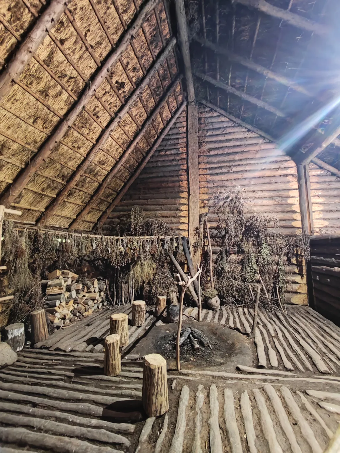 Muzeum Archeologiczne w Biskupinie
