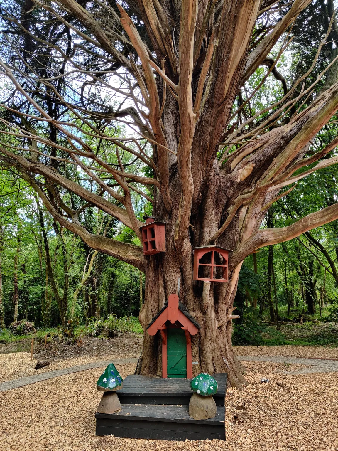 Castlecomer Discovery Park