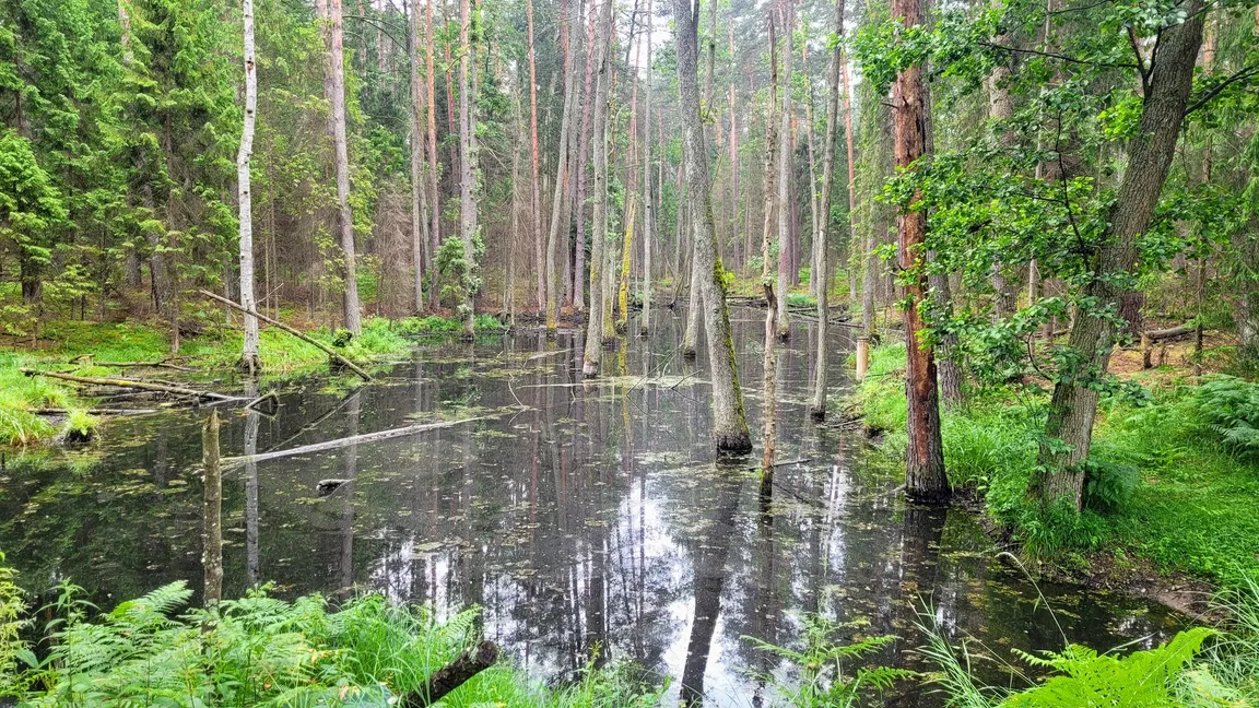 Roztoczański Park Narodowy