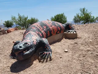 Nature Discovery Trail and Rock Garden