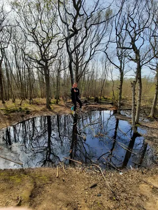 The Wildart Trail