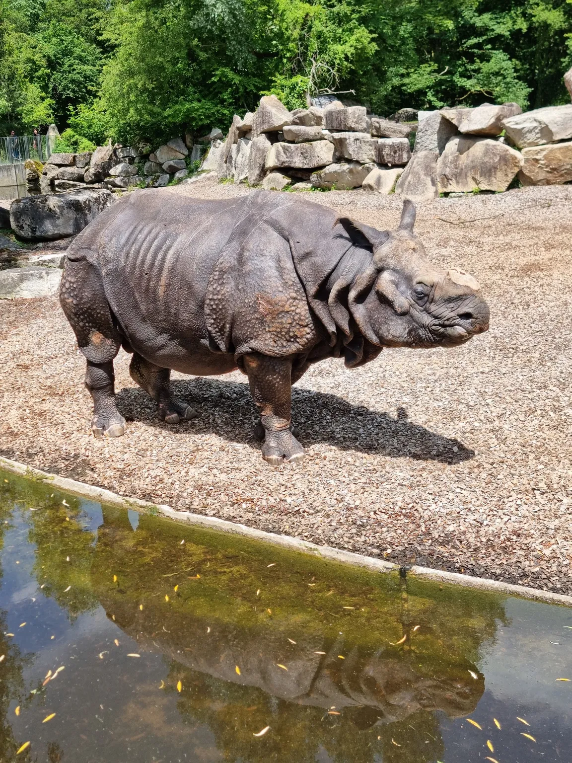 Hellabrunn Zoo