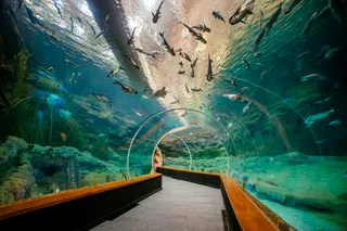 Poema del Mar Aquarium
