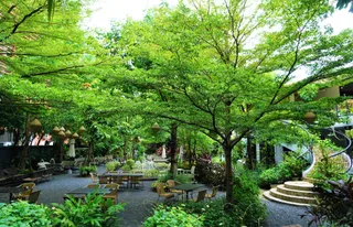 The Gardens of Dinsor Palace