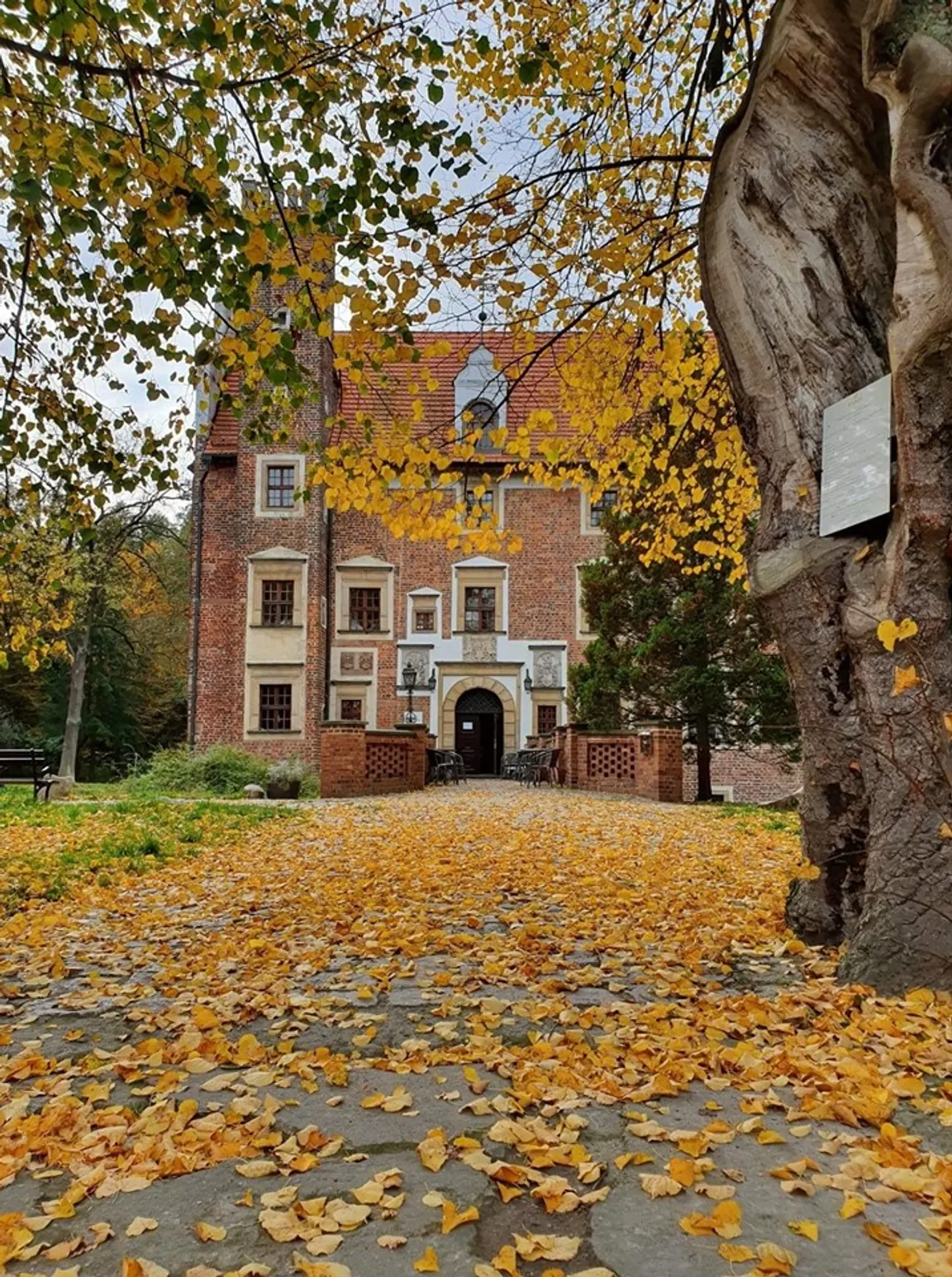 Zamek Wojnowice