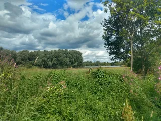 Cleveland Lakes Nature Reserve