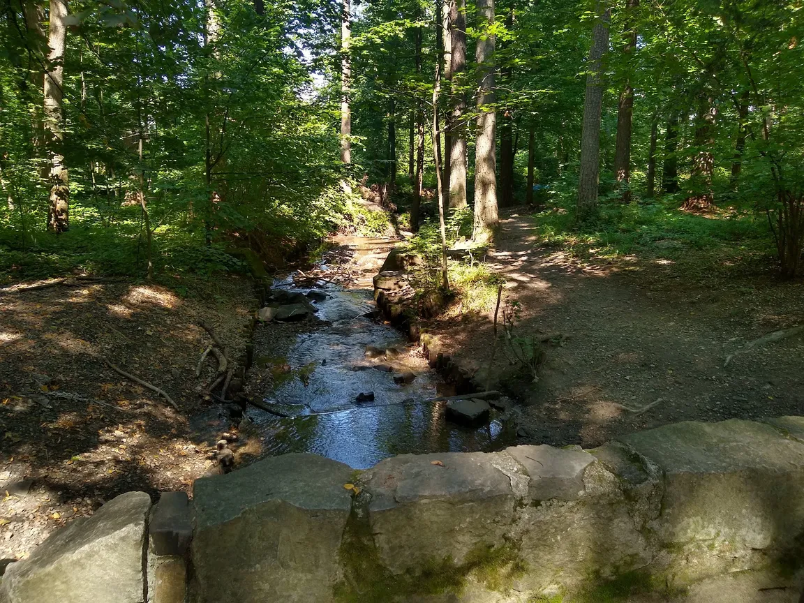 Park Cygański Las w Bielsku-Białej