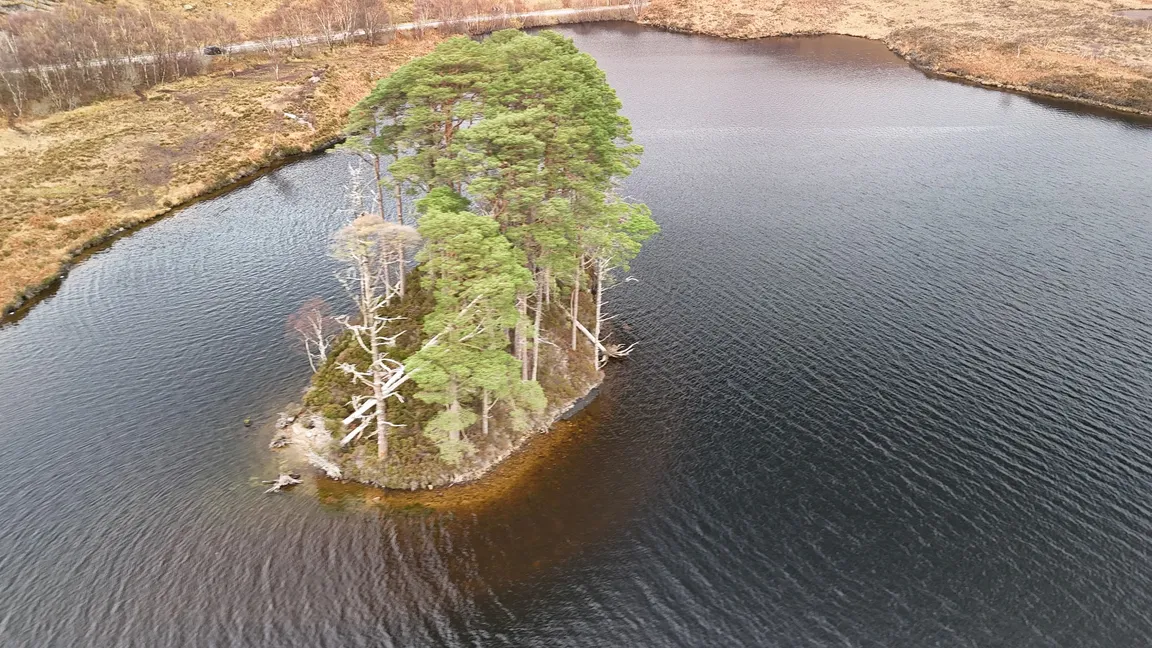 Eilean na Moine