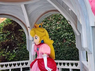 Peach's Castle