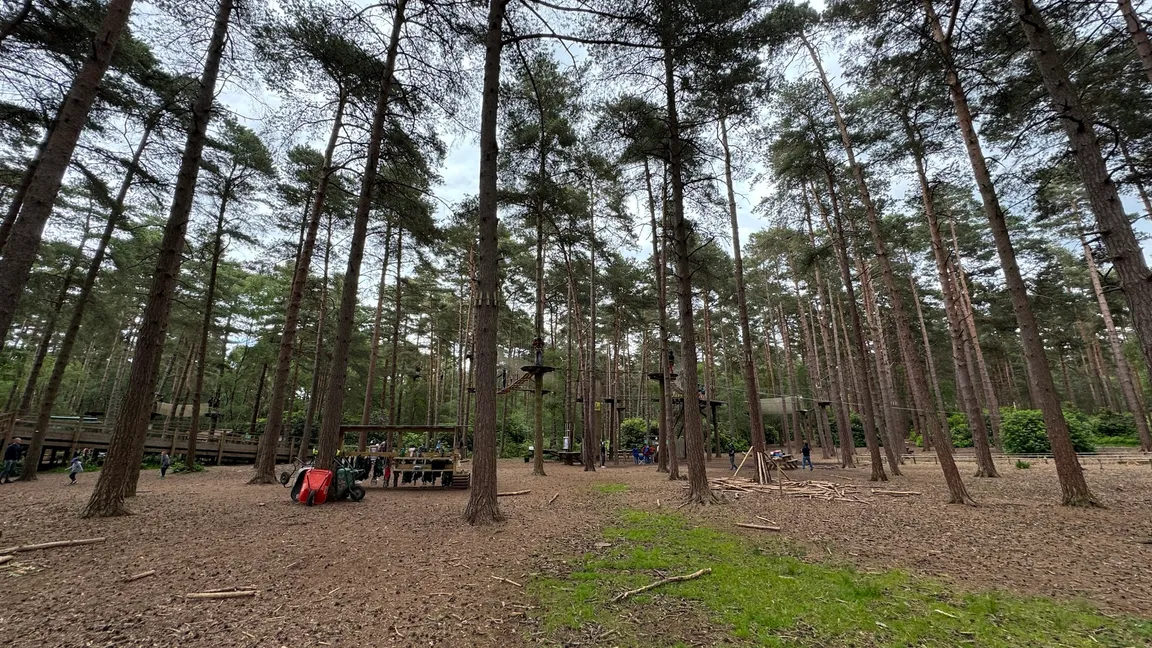 Swinley Bike Hub Swinley Forest's Trail Centre