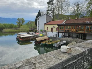 Virpazar