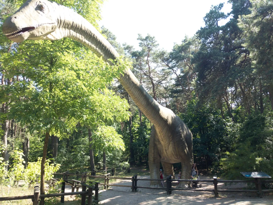 JuraPark Solec Kujawski