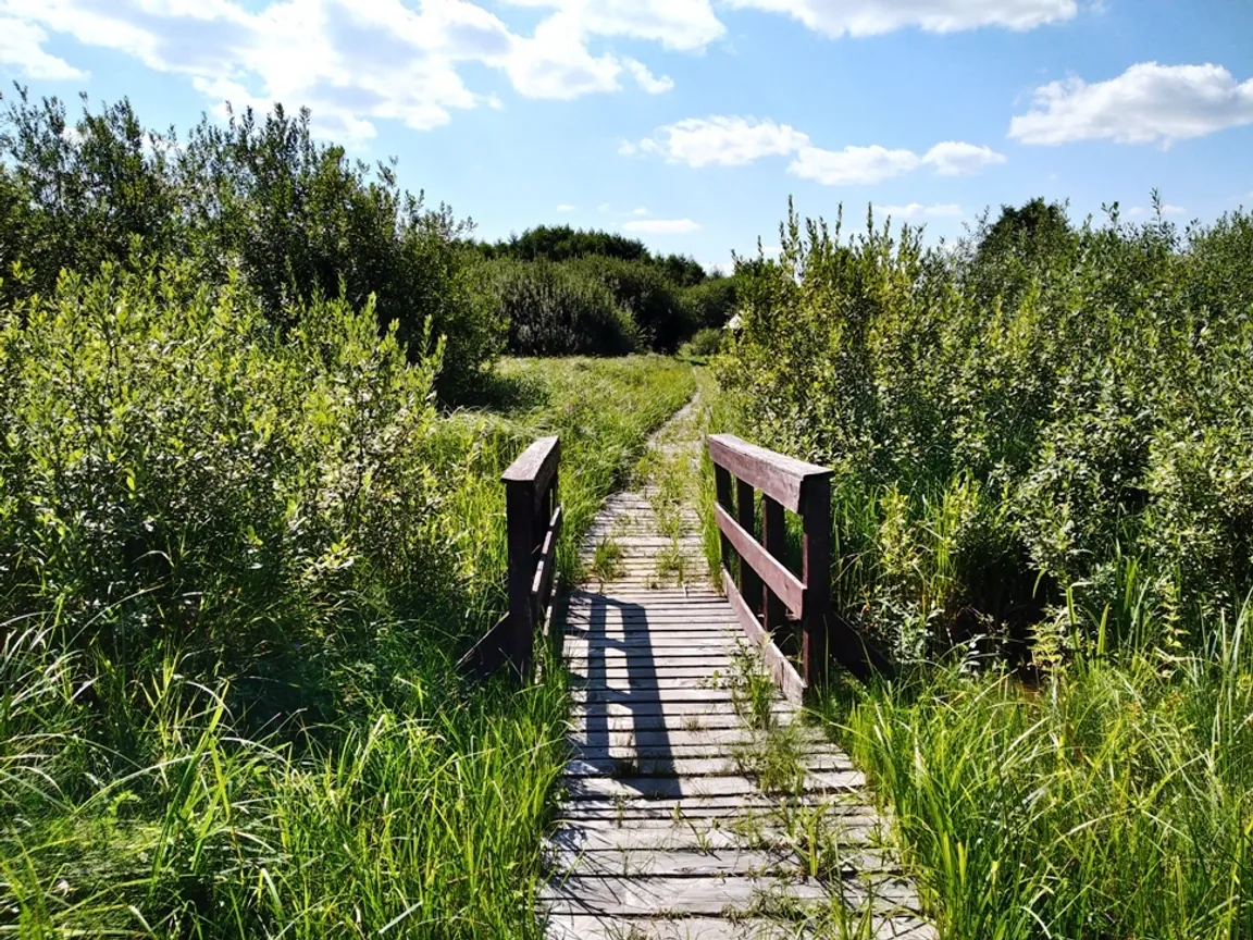 Ścieżka Przyrodniczo-Edukacyjna