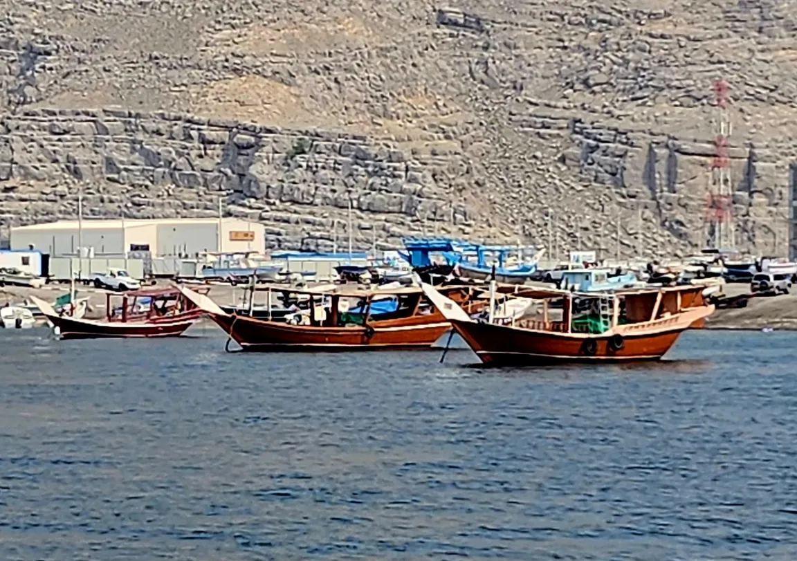 Musandam Sea Adventure Travel and Tourism