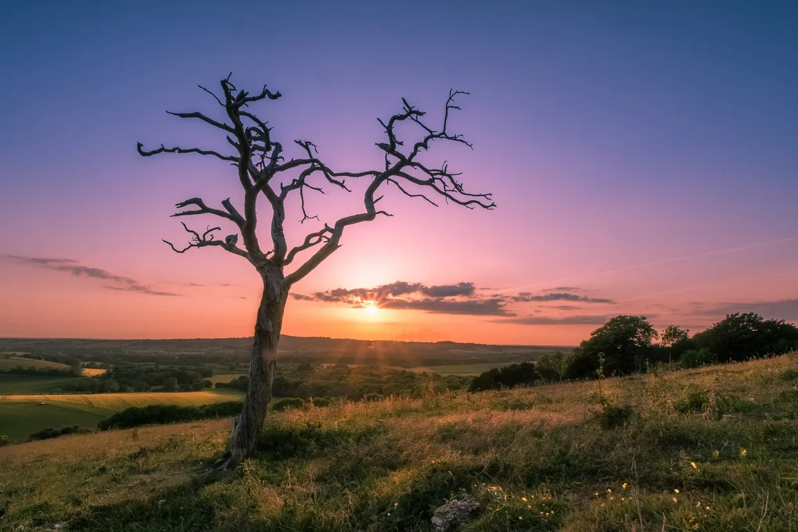 Old Winchester Hill