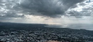 Pikni Forest Viewpoint