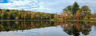 Cookson State Forest