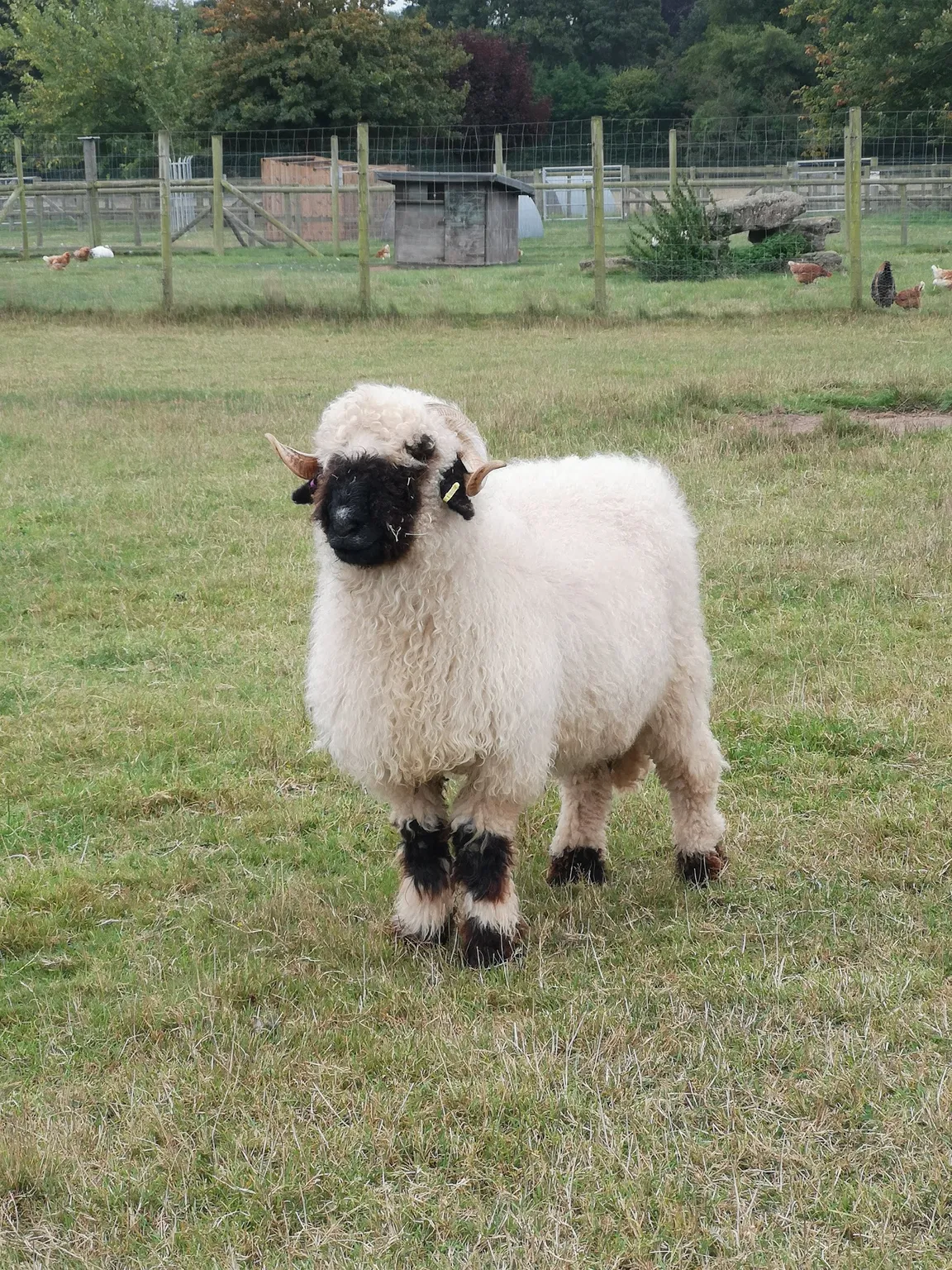 Farmer Palmer's Farm Park