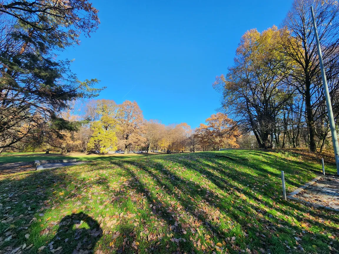 Hirschgarten