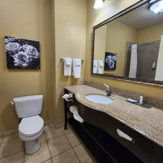 La Quinta Inn & Suites by Wyndham Vicksburg