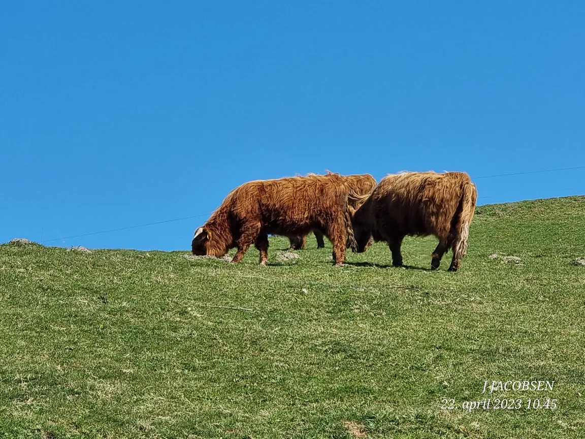 Panorama Walking Route