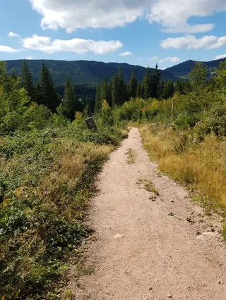 Jägersteig