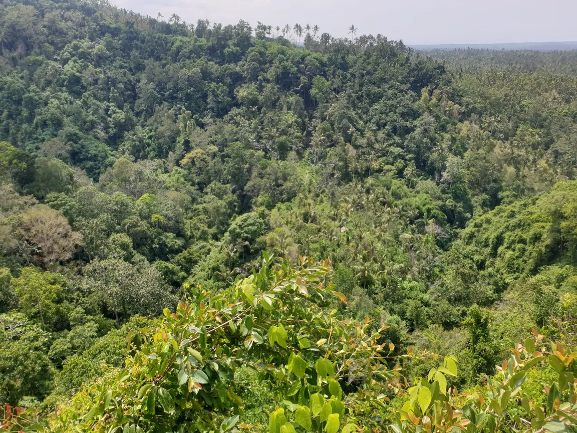 Nature Tourism Green Cliff
