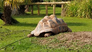Paignton Zoo