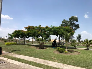 Lineal Jardines Verdes Park