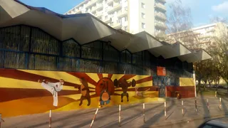 DOJO United Łódź - Karate Kickboxing MMA BJJ Łódź Dzieci I Dorośli Centrum Sztuk Walki