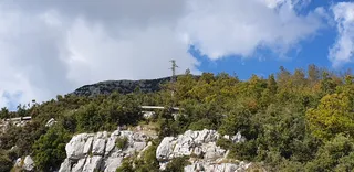Capo Muro