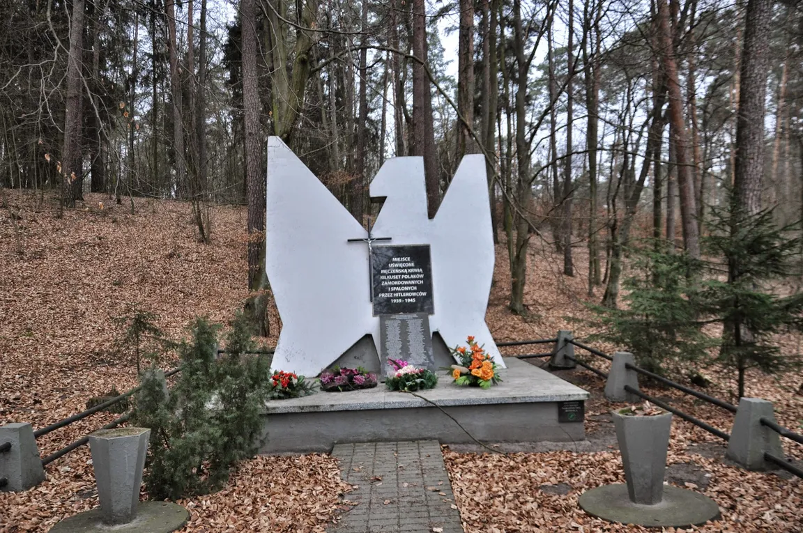 Brodnicki Park Krajobrazowy