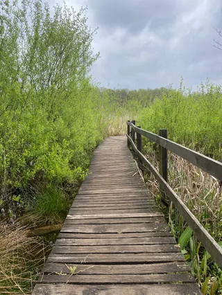 Rezerwat przyrody Na Torfach im. Janusza Kozłowskiego w Karczewie