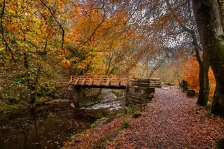 Calderglen Country Park and Zoo