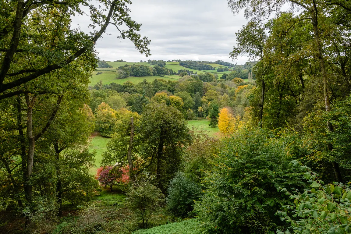 National Trust - Winkworth Arboretum