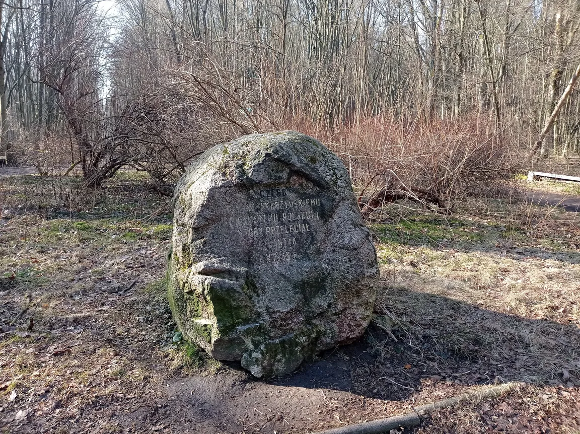 Rezerwat Las Zwierzyniecki