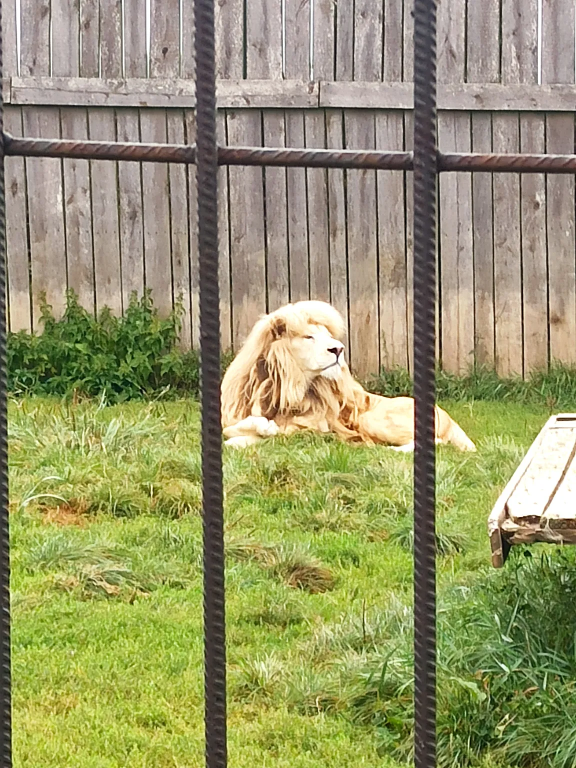 Zoo Wojciechów