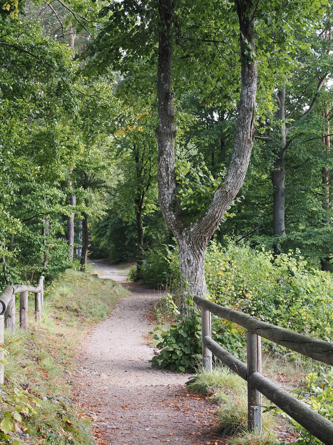 Walli-Maus-Weg Erlebniswanderung