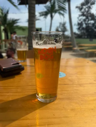 Moon Dog Beach Club