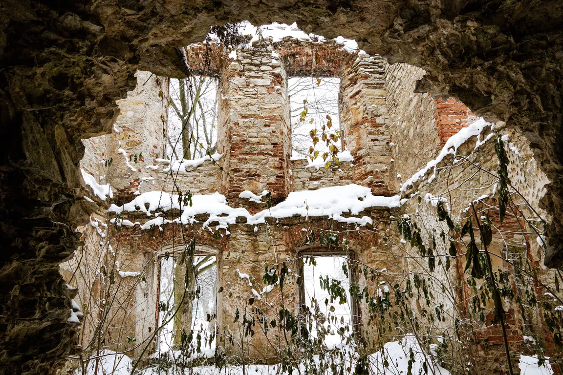 Ruiny pałacu we Włodowicach