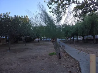 Milo Park