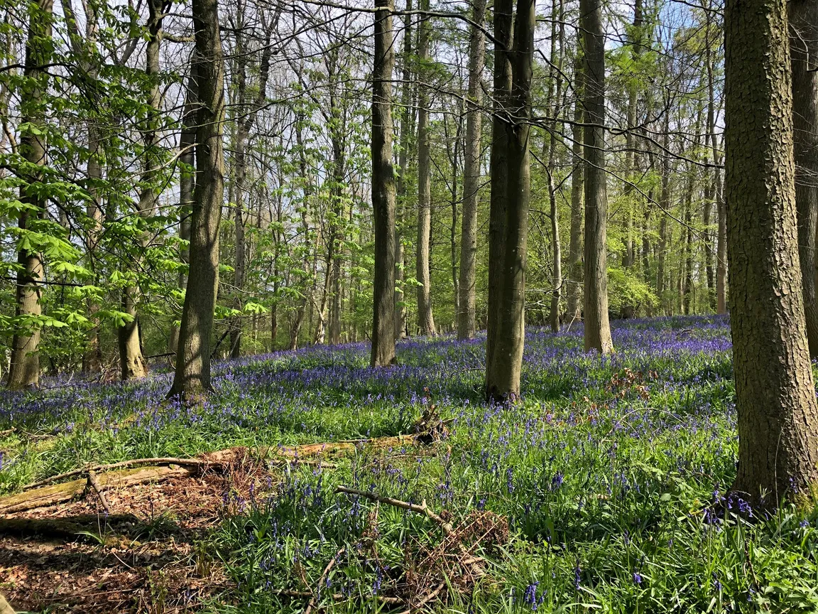 National Trust - Dover's Hill