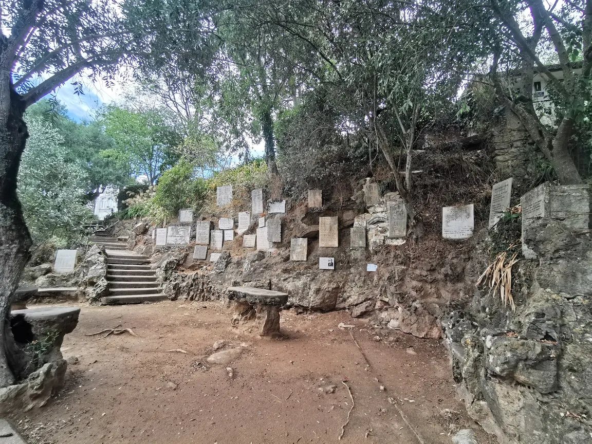 Miradouro do Penedo da Saudade