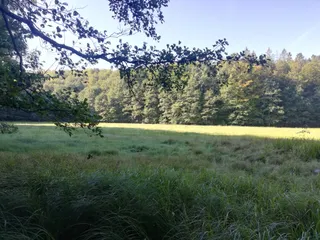 Kaszubski Park Krajobrazowy