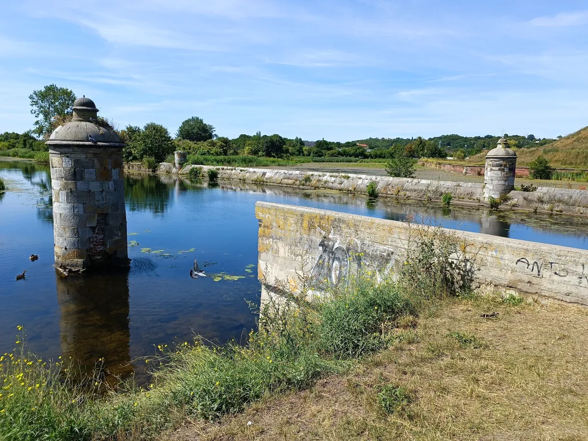 Bastion Żubr
